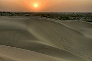 Thar-Desert.jpg