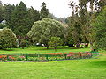 Botanical-Garden.jpg
