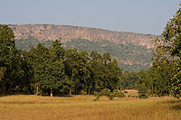 बांधवगढ़ राष्ट्रीय उद्यान